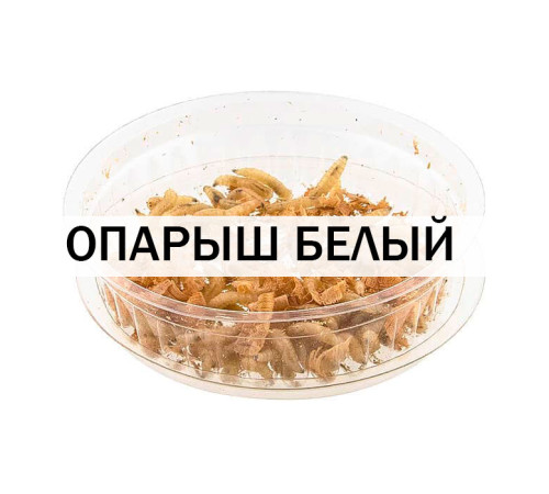 Опарыш белый (1 банка/10 гр)