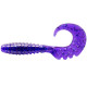 Силиконовые приманки FishUp FANCY GRUB 2.5" 060 - Dark Violet/Peacock & Silver, 10шт, твистер
