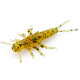 FishUp STONEFLY 0.75" 036 - Caramel/Green & Black, 12шт.