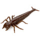 FishUp DIVING BUG 2" 012 - Chaos, 8шт.