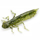 FishUp DRAGONFLY 1.7" 042 - Watermelon Seed, 8шт.