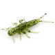 FishUp STONEFLY 0.75" 042 - Watermelon Seed, 12шт.