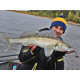 Lucky John Pro Series MINNOW 3.3in S13, 7шт.