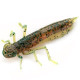FishUp DRAGONFLY 1.2" 017 - Motor Oil Pepper, 10шт.