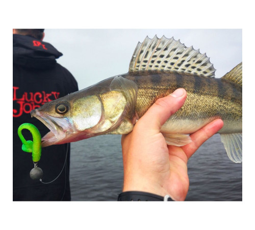 Lucky John Pro Series MINNOW 2.2in T18, 10шт.
