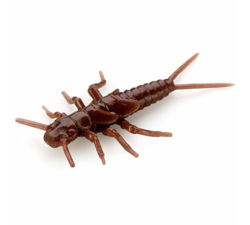 FishUp STONEFLY 0.75" 012 - Chaos, 12шт.