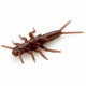FishUp STONEFLY 0.75" 012 - Chaos, 12шт.