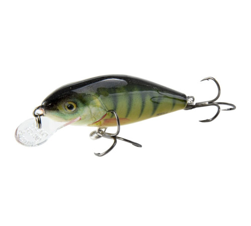 Воблер Salmo PERCH 80F PHH