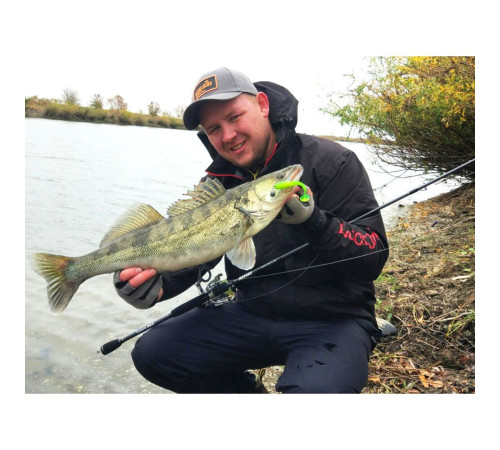 Силиконовые приманки Lucky John Pro Series TIOGA 2.9in 071, 7шт, виброхвост
