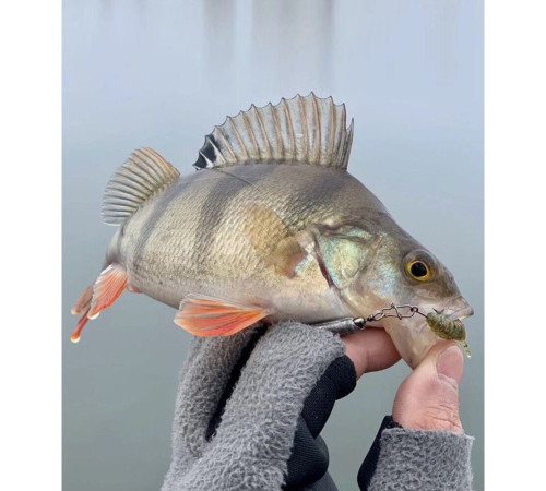 Lucky John Pro Series ULTRA WORM 1.4in PA16, 12шт.