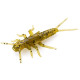 FishUp STONEFLY 0.75" 074 - Green Pumpkin Seed, 12шт.