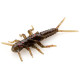 FishUp STONEFLY 0.75" 050 - Green Pumpkin Brown/Red & Purple, 12шт.