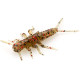 FishUp STONEFLY 0.75" 045 - Green Pumpkin/Red & Black, 12шт.