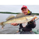 Силиконовые приманки Lucky John Pro Series Spark Tail 4,0in T56, 5шт, виброхвост