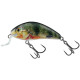 Воблер Salmo RATTLIN' HORNET 35F-SR, цвет Supernatural Perch, 3 гр.