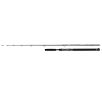 Спиннинговое удилище SHIMANO Beastmaster AX Catfish Lure 220cm 120g 2pc
