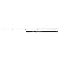 Спиннинговое удилище SHIMANO Beastmaster AX Catfish Lure 220cm 120g 2pc