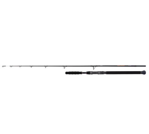 Спиннинговое удилище SHIMANO Beastmaster AX Catfish Lure 220cm 120g 2pc