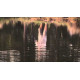 Воблер RAPALA Jointed 11, CH