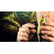 Воблер Savage Gear 3D Roach Lipster 182SF цвет Perch PHP