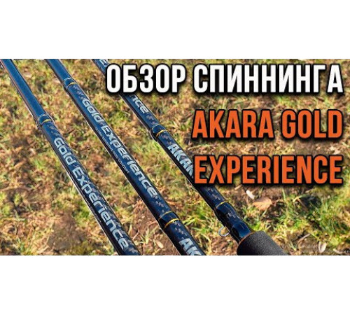 Спиннинг Akara Gold Experience 2.2м, 10-35гр