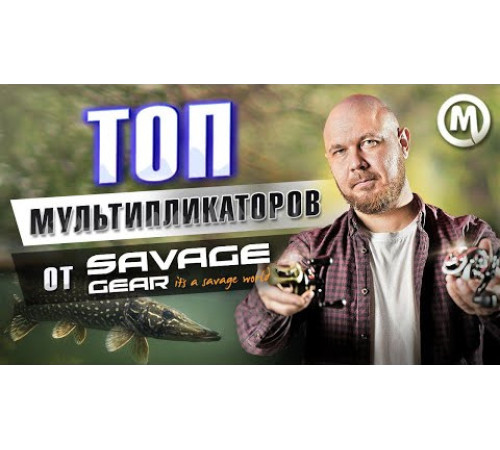 Катушка мультипликаторная SAVAGE GEAR SG6 300 BC LH 5+1BB 5.6:1