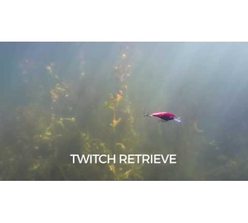 Воблер Rapala Shad Rap SR09HSP Headspin (HSP)