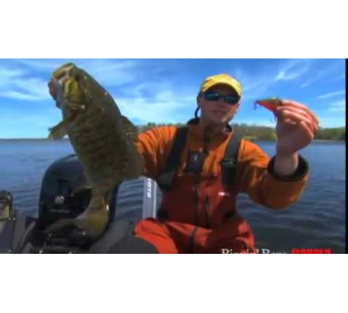 Воблер RAPALA Rippin' Rap 06, CSD