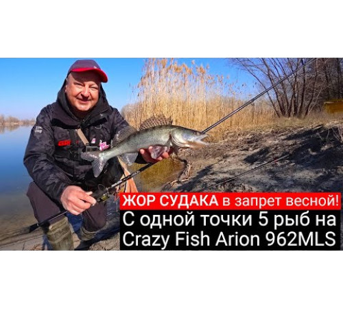 Спиннинг Crazy Fish Arion ASR962MLS, углеволокно, 2.90 м, тест: 5-21 г, 110 г