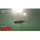 Воблер RAPALA Shadow Rap Shad 09, TRG
