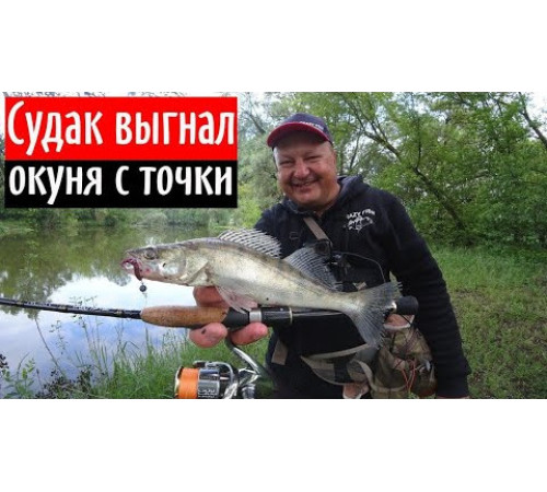 Спиннинг Crazy Fish Arion ASRE742ULS, углеволокно, 2.24 м, тест: 1-7 г, 77 г