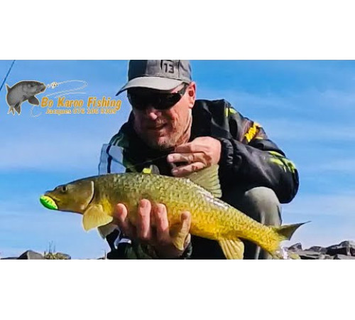 Воблер Rapala X-Light Crank Shallow Runner 03, GHSH